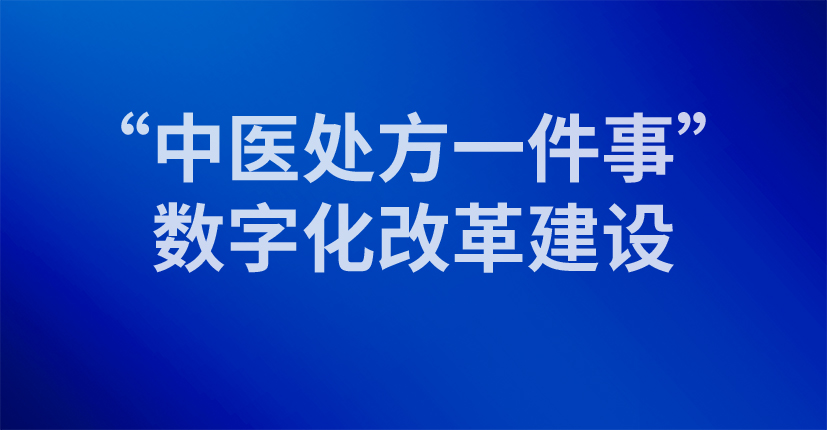  “中医处方一件事”数字化改革建设