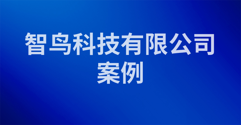 智鸟科技有限公司案例