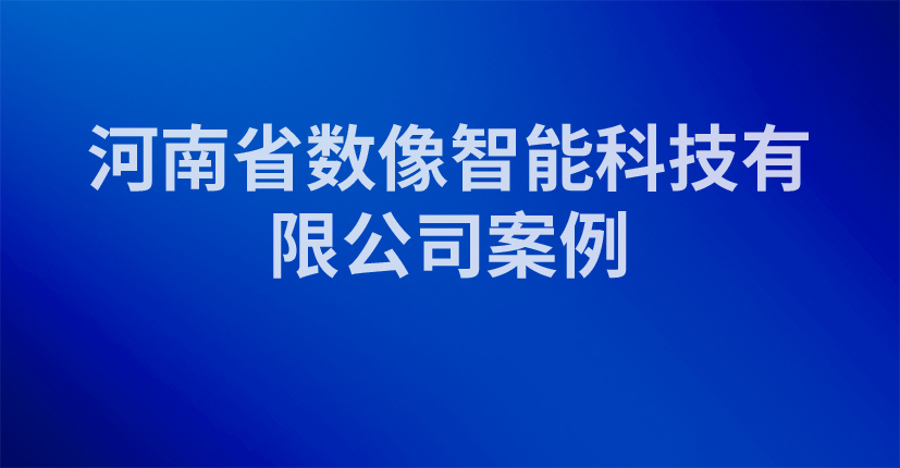 河南省数像智能科技有限公司案例